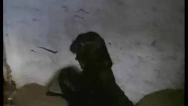 A perverz sápadt Zuzinka csaladi szex hd alázatosan letérdel, mert szopást adott